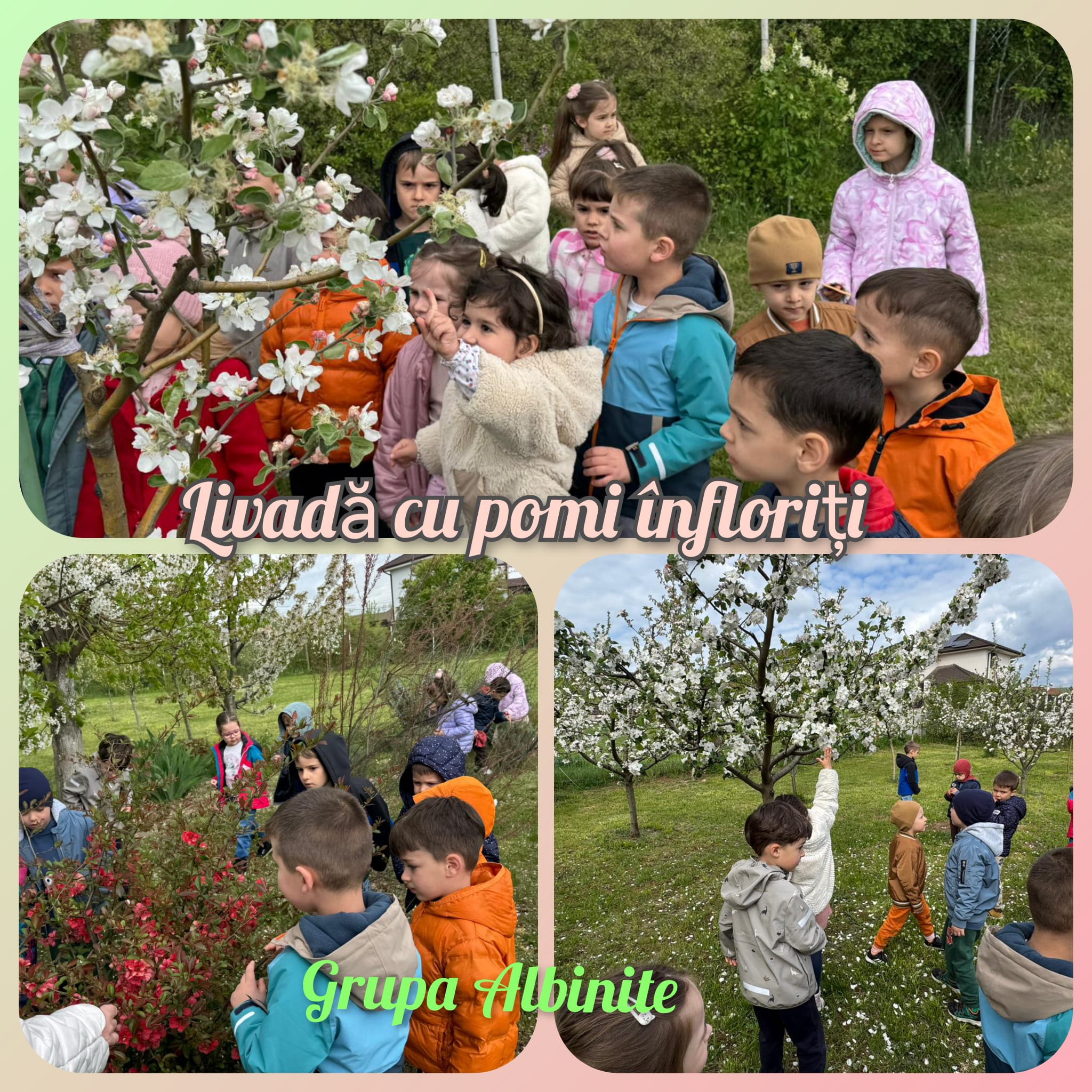 WhatsApp Image 2026-04-25 at 18.50.30 (5)